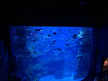 京都水族館に投稿された画像（2026/5/9）