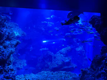 京都水族館に投稿された画像（2026/5/9）