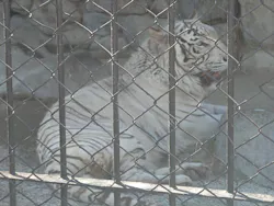 東武動物公園に投稿された画像（2026/5/9）
