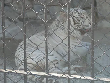 東武動物公園に投稿された画像（2026/5/9）