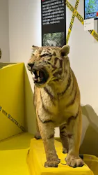 特別展「超危険生物展　科学で挑む生き物の本気」に投稿された画像（2026/5/9）