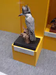 特別展「鳥 ～ゲノム解析が解き明かす新しい鳥類の系統～」に投稿された画像（2026/5/9）