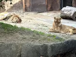 天王寺動物園に投稿された画像（2026/5/9）