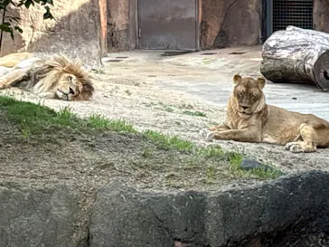 天王寺動物園に投稿された画像（2026/5/9）