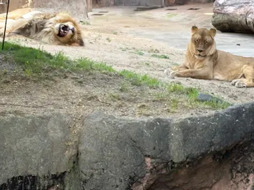 天王寺動物園に投稿された画像（2026/5/9）