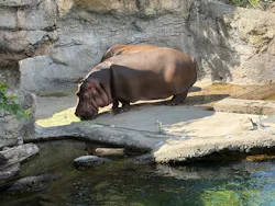 天王寺動物園に投稿された画像（2026/5/9）