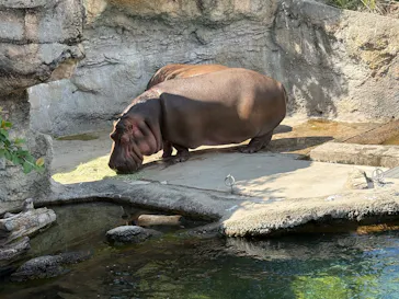 天王寺動物園に投稿された画像（2026/5/9）