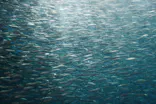 名古屋港水族館に投稿された画像（2026/5/9）