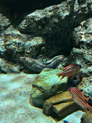 名古屋港水族館に投稿された画像（2026/5/9）
