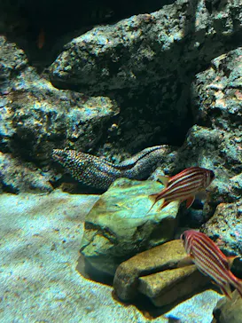 名古屋港水族館に投稿された画像（2026/5/9）