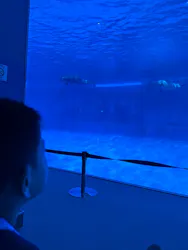 名古屋港水族館に投稿された画像（2026/5/9）