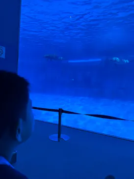 名古屋港水族館に投稿された画像（2026/5/9）