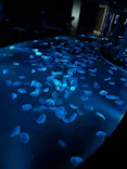すみだ水族館に投稿された画像（2026/5/9）