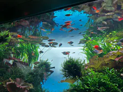 すみだ水族館に投稿された画像（2026/5/9）