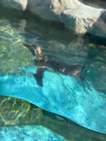 東武動物公園に投稿された画像（2026/5/9）