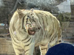 東武動物公園に投稿された画像（2026/5/9）