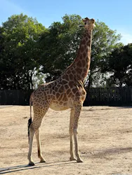 東武動物公園に投稿された画像（2026/5/9）