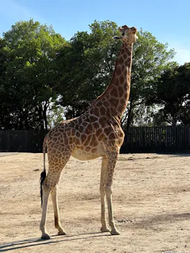 東武動物公園に投稿された画像（2026/5/9）