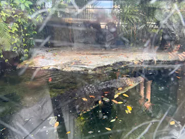 恩賜上野動物園に投稿された画像（2026/5/9）