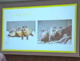 サンシャイン水族館に投稿された画像（2026/5/9）