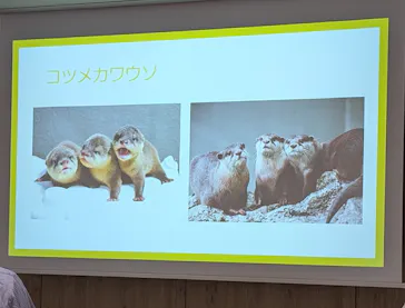 サンシャイン水族館に投稿された画像（2026/5/9）