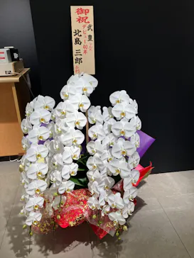 武豊 デビュー40年 ～前人未到の記録～　（銀座三越）に投稿された画像（2026/5/9）