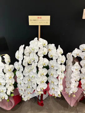 武豊 デビュー40年 ～前人未到の記録～　（銀座三越）に投稿された画像（2026/5/9）