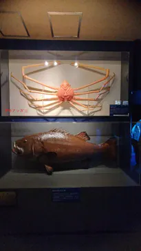 しながわ水族館に投稿された画像（2026/5/9）