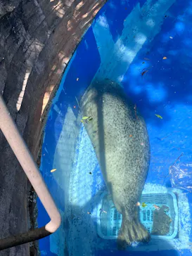 名古屋市東山動植物園に投稿された画像（2026/5/9）