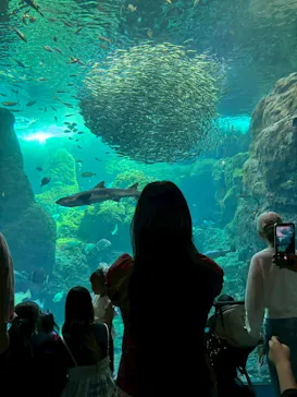 新江ノ島水族館に投稿された画像（2026/5/9）