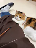 Cat Café MOFF 仙台PARCO店に投稿された画像（2026/5/9）