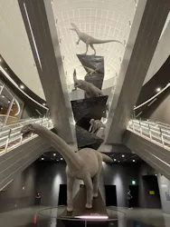 福井県立恐竜博物館に投稿された画像（2026/5/9）