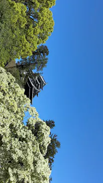 松江城に投稿された画像（2026/5/9）