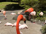 長崎バイオパークに投稿された画像（2026/5/9）