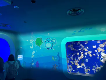 新江ノ島水族館に投稿された画像（2026/5/9）