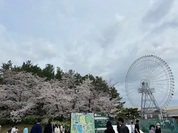 万博記念公園に投稿された画像（2026/5/9）