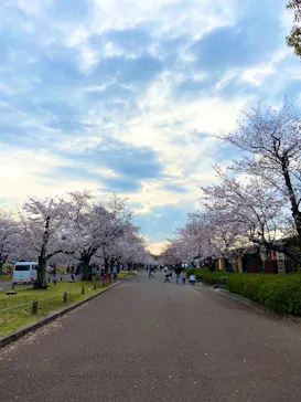 万博記念公園に投稿された画像（2026/5/9）