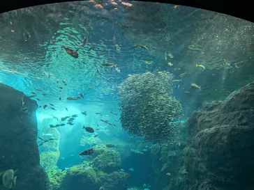 新江ノ島水族館に投稿された画像（2026/5/9）