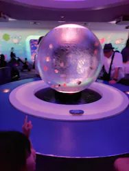 新江ノ島水族館に投稿された画像（2026/5/9）
