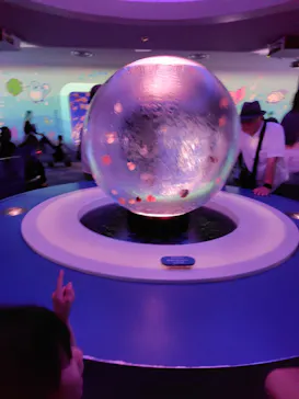 新江ノ島水族館に投稿された画像（2026/5/9）