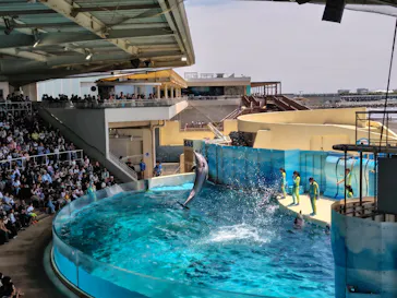 新江ノ島水族館に投稿された画像（2026/5/9）