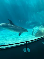 名古屋港水族館に投稿された画像（2026/5/9）
