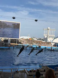 名古屋港水族館に投稿された画像（2026/5/9）