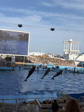 名古屋港水族館に投稿された画像（2026/5/9）