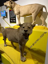 特別展「超危険生物展　科学で挑む生き物の本気」に投稿された画像（2026/5/9）