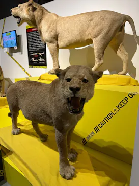 特別展「超危険生物展　科学で挑む生き物の本気」に投稿された画像（2026/5/9）