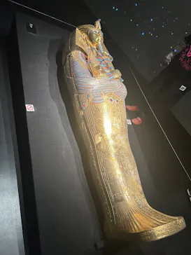 MYSTERY OF TUTANKHAMEN 体感型古代エジプト展に投稿された画像（2026/5/9）