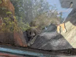 天王寺動物園に投稿された画像（2026/5/9）