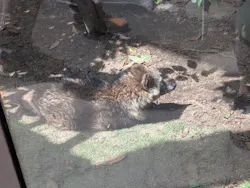 天王寺動物園に投稿された画像（2026/5/9）