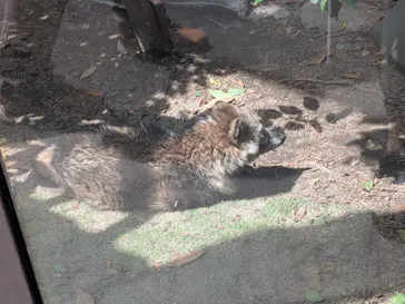 天王寺動物園に投稿された画像（2026/5/9）